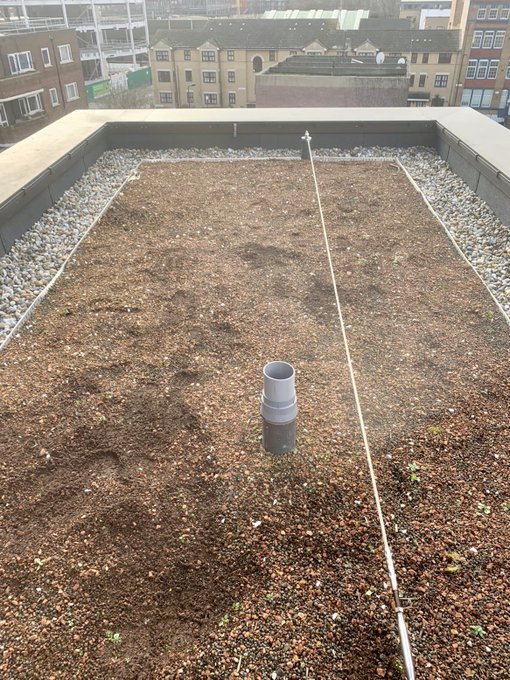 Can’t beat views like this when you’re working! 👌🏼
#greenroof #roofing #waterproofing #specification #essexgreenroofing #London