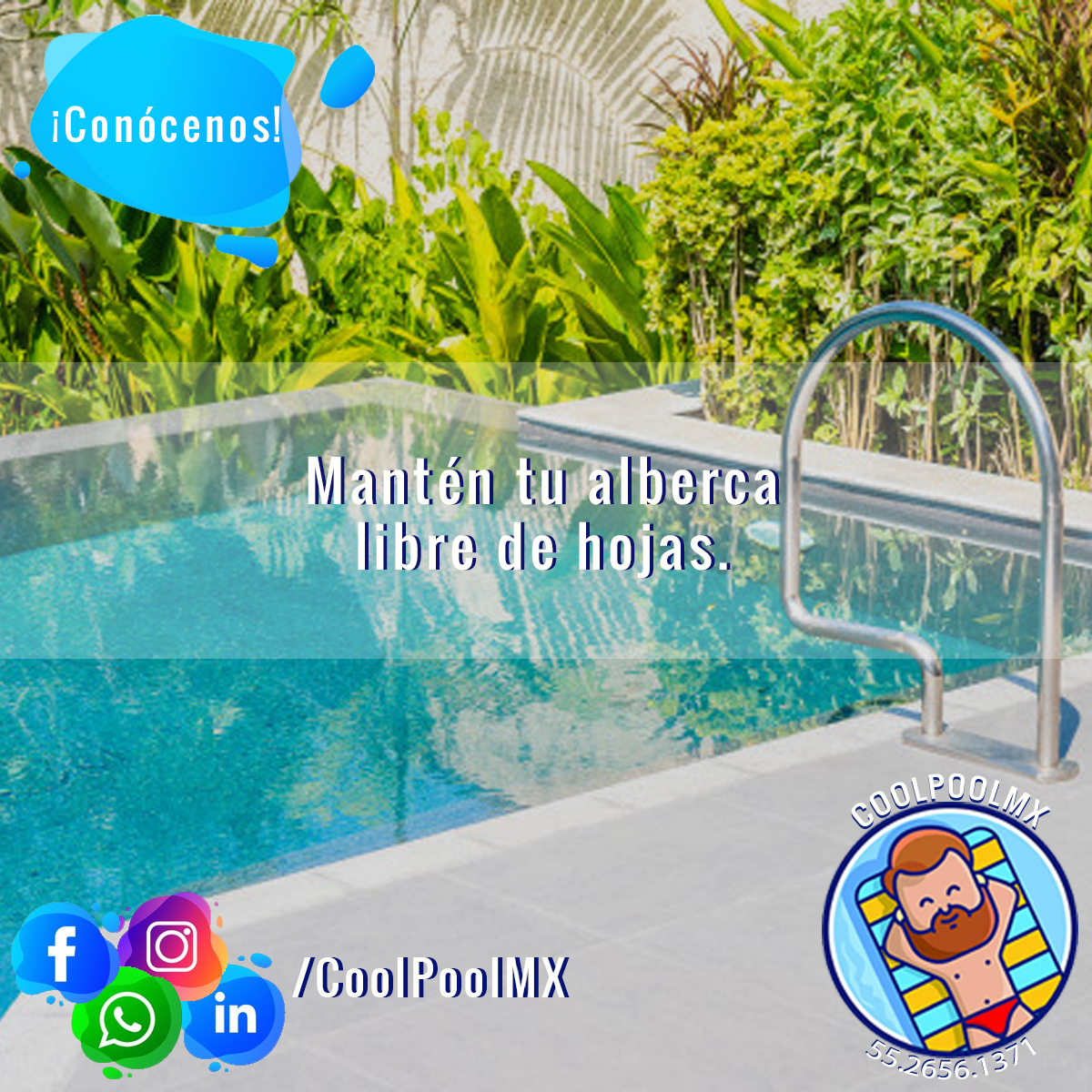 coolpoolmx's tweet image. Haz tu cita con nosotros.
linktr.ee/CoolPoolmx
.
Nuestro servicio incluye:
🧼Aspirado de piscina.
🧼Cepillado de paredes y fondo.
🧼Recolección de Basura e Insectos.
🧼Revisión de niveles de Ph.
.
#Limpiezadealberca #Limpiezadepiscina #Quimicos #Merida #CoolPoolMX