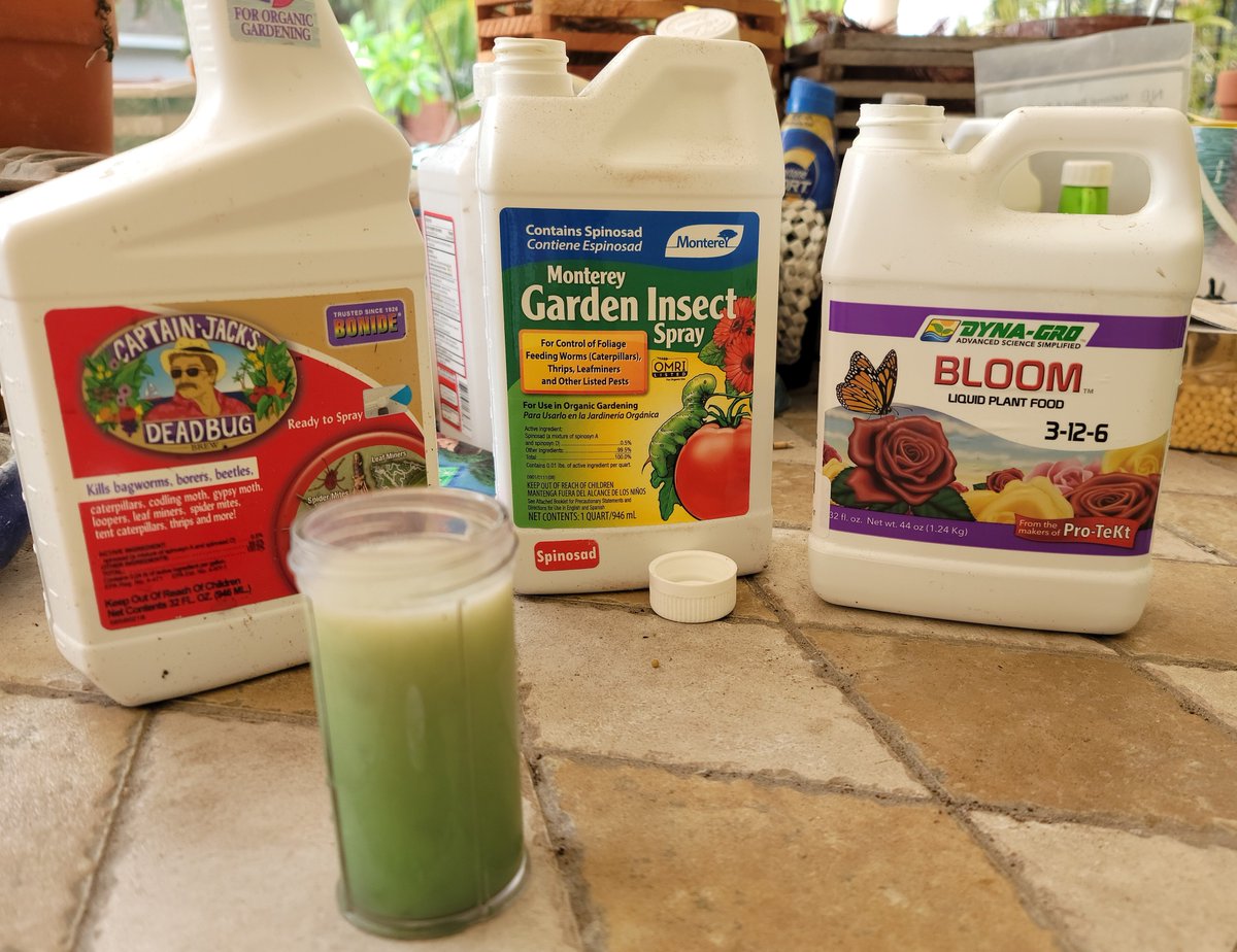 ConnieYurkus's tweet image. The Orchid Bar was busy today. Lots of interesting looking mixers. #orchids #bugkiller #OrchidExerciseProgram #Dendrobium #Vanda