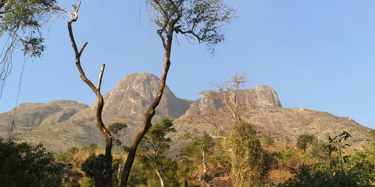 Last time I was in Mulanje was 2012. It has been 8 years since. Wow, so many things have happened in those years. One thing I want to talk about is loss of trees. Sometimes, it feels like those responsible just gave up. 1/10