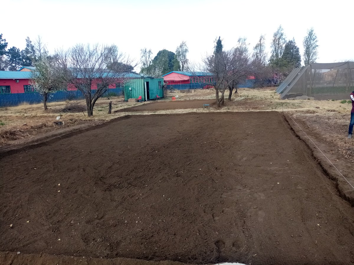 SenzushintshoC's tweet photo. Every Level requires a different version of you. Establishment of 2nd Bedding.

Steps of soil preparation and the importance of making use of the space to maximize production.

#Class_of_2020
#Future_Agripreneurs
#We_Making_Change
#Emndeni_Skills_Centre https://t.co/rFBL6G1CgV