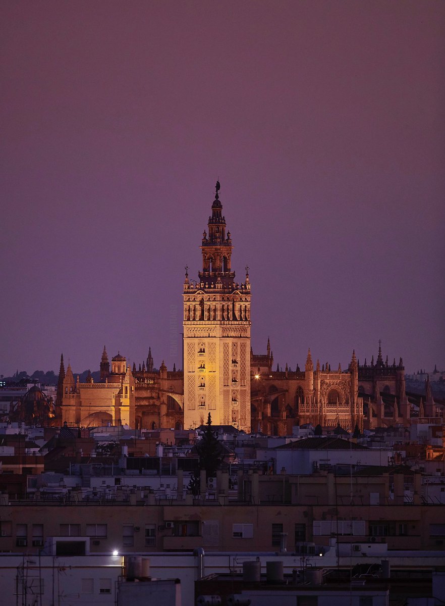 Tonos magenta para uno de los últimos atardeceres de agosto.

#Sevilla