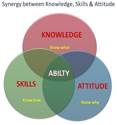Different skills. High concept сценария. Manager skills abilities. What are your abilities. Skill ability разница.