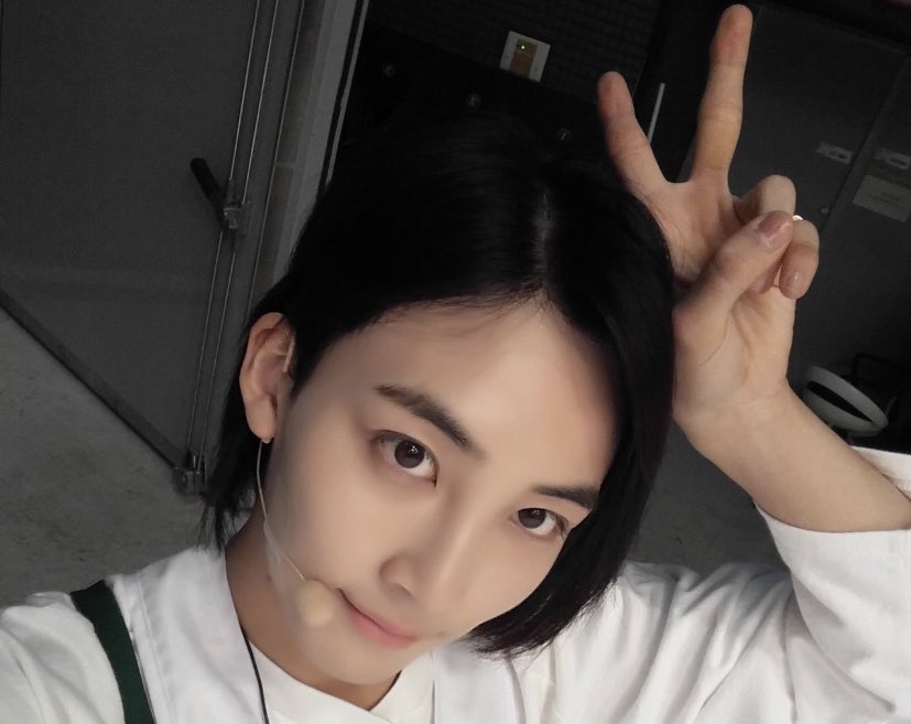 ‎ 정한 tweet media