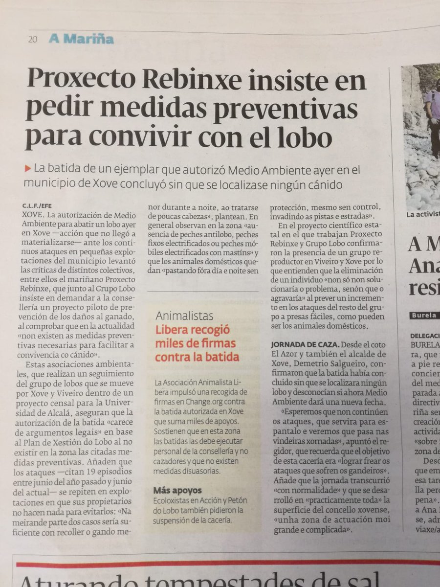 PlatConvivenci1's tweet photo. 👏👏👏👏👏👏👏👏🐺
#XuntaMataLobos
Queremos #LoboVivoSempre https://t.co/nAkT8MSp5m