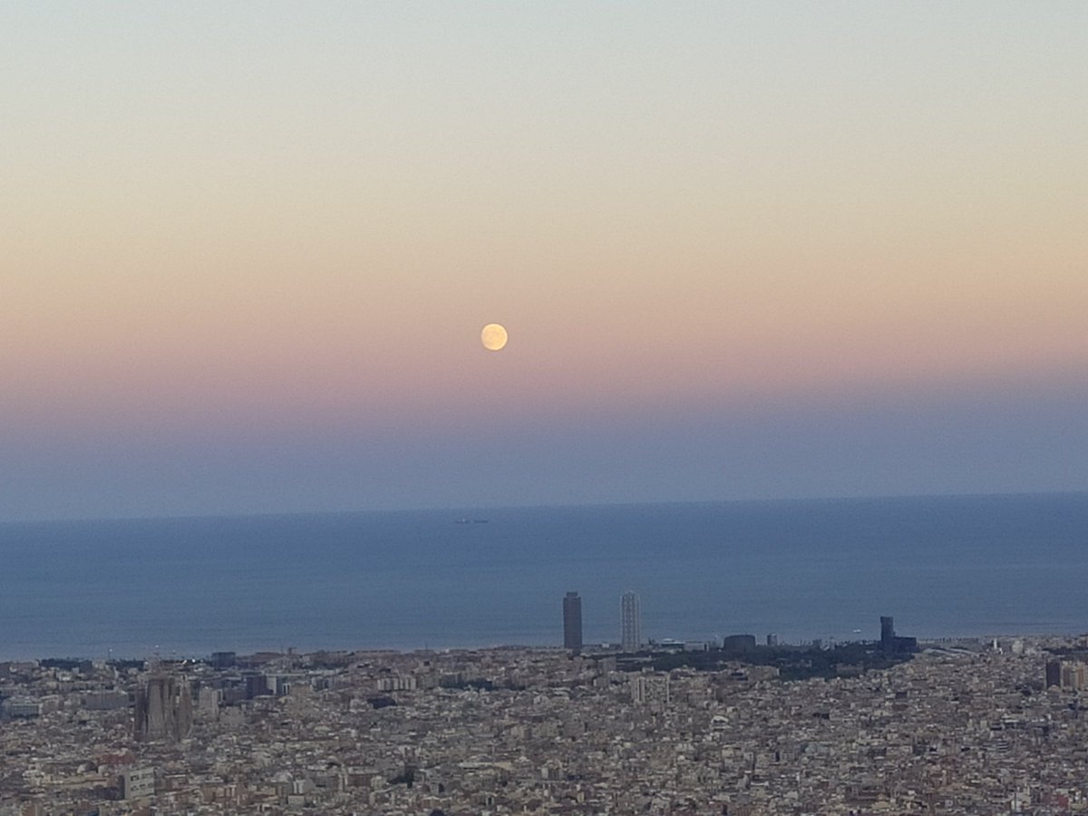 Carles Nerín Faydella tweet media