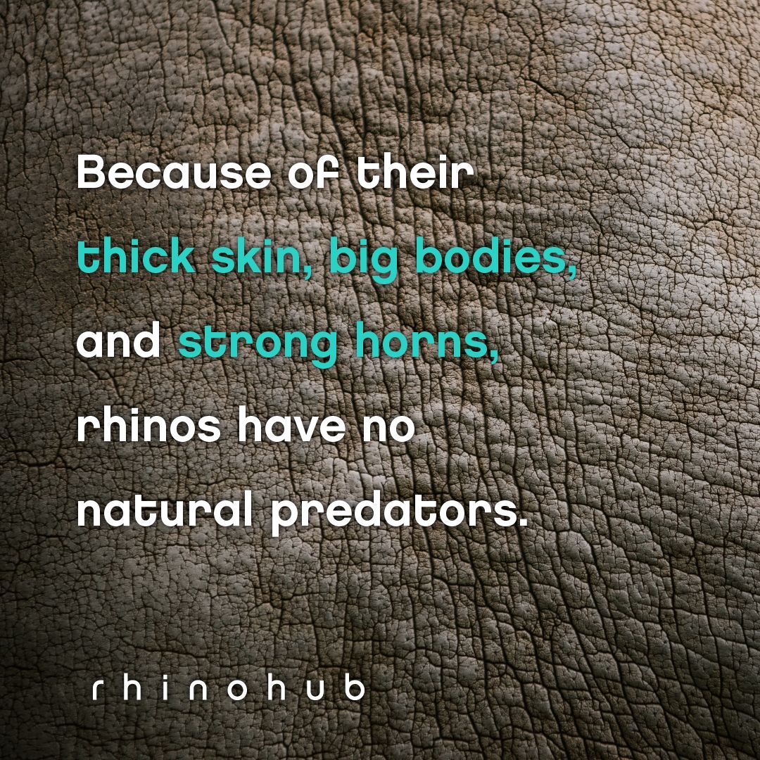 RhinoHub's tweet image. Dominating the field. 
.
.
.
.
#getdungdone #rhinofact #thickskin