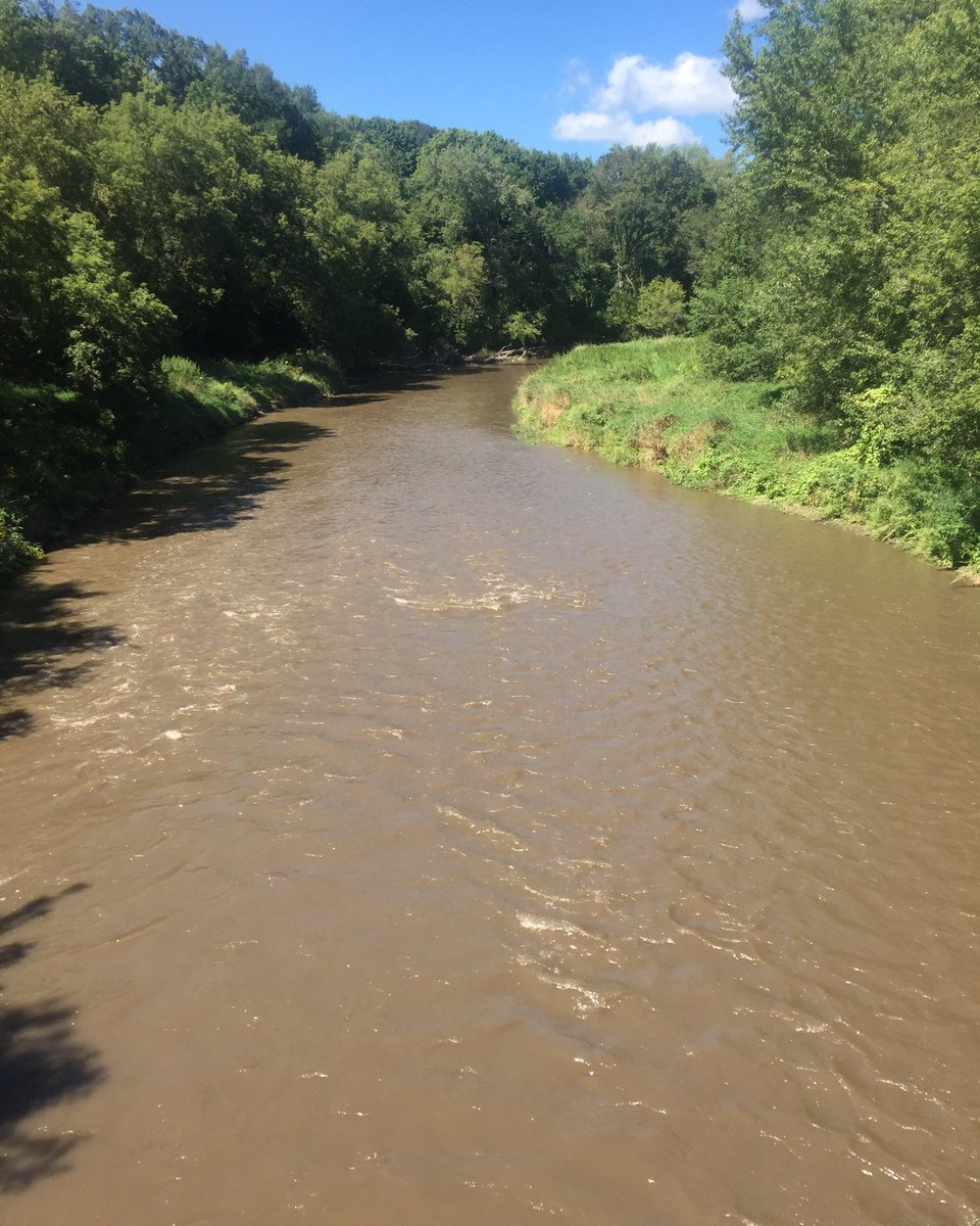 PBWeiss's tweet image. This is the Zumbro River at Oxbow Park early this afternoon after heavy rain - we got 3” in NW Rochester. Clarity was 5 cm - about 2 inches. It was about an inch downriver at Genoa.