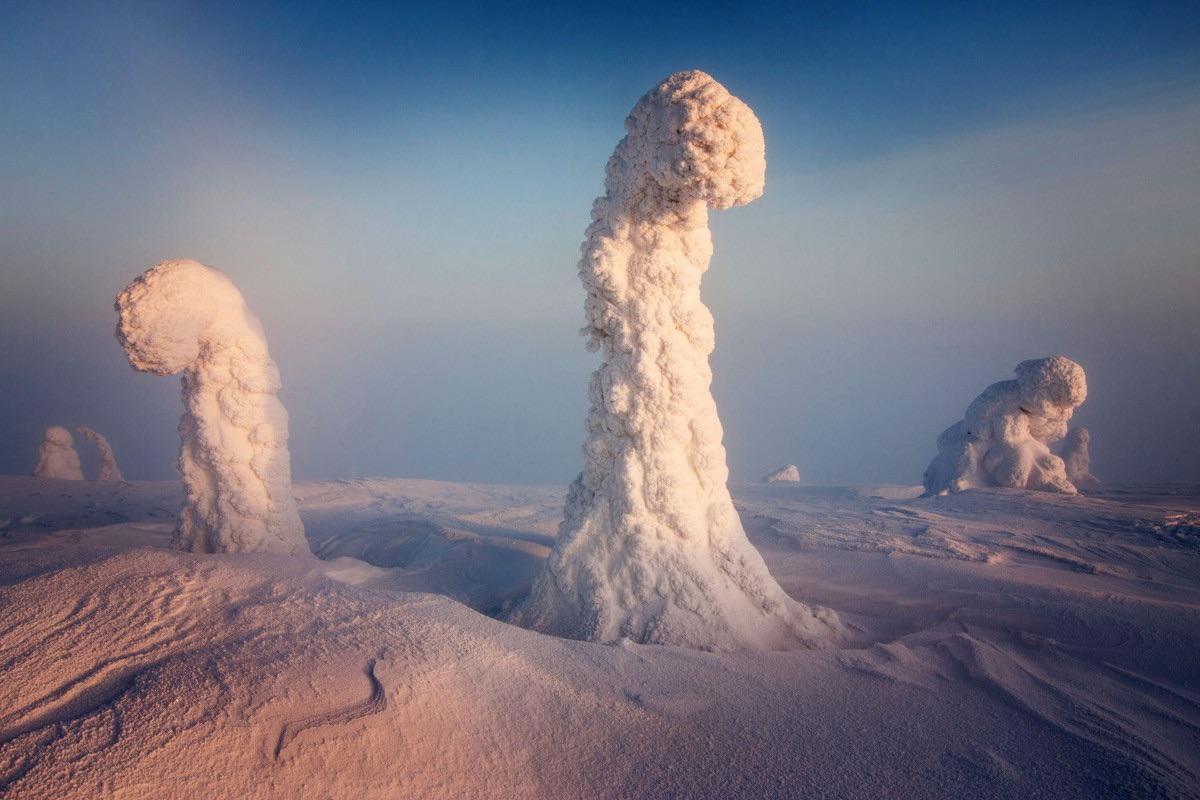 UniverCurious's tweet image. In Finland temperature gets as low as -40C in winter, the trees are covered in so much snow and frost that it looks like a landscape from another planet.