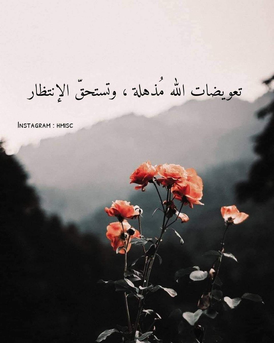 #صيادله18_تكليفهم_فين
ياااااااارب عاجلا غير آجل❤️