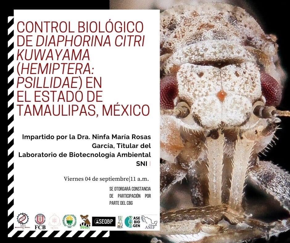 Asebiogen's tweet photo. ¡Bienvenidos de vuelta a clases!
Acompáñanos este viernes 04 de septiembre en la conferencia impartida por la Dra. Ninfa Maria Rosas García, acerca del psilido asiático y su control en el estado de Tamaulipas 🦟

¡Lee el hilo para saber cómo asistir!👇 https://t.co/UPszZ7IiHl