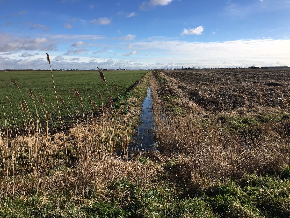 Small dykes/drains start at the highest part of the fen and flow into wider dykes in turn before being pumped (up) into our local forty foot (wide) drain. Our local forty foot then flows north east into the tidal reaches of the River Nene near Guyhirn and our to The Wash.