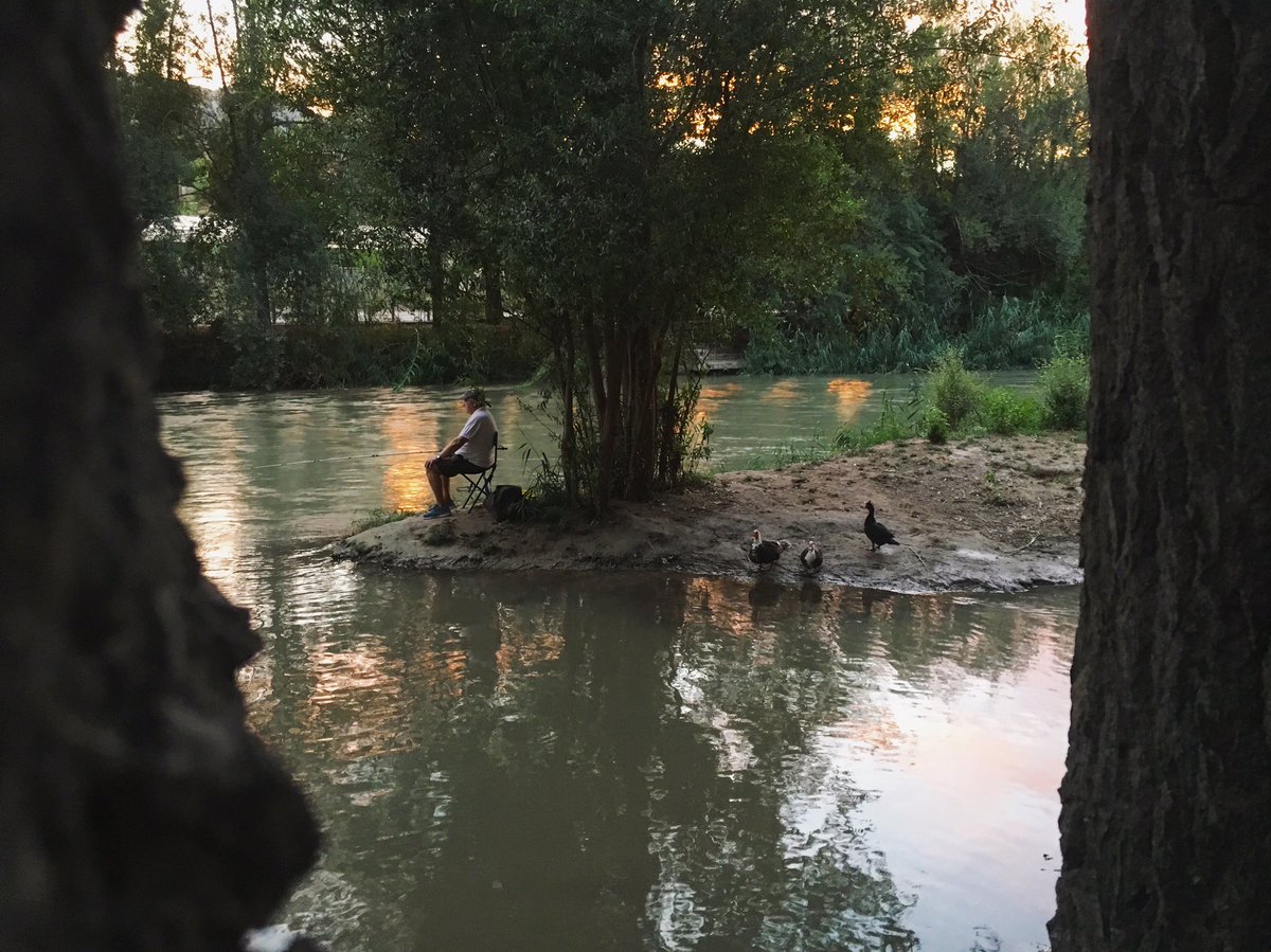 JesusGoMontiel's tweet photo. Otro regalo para la vista que nos ofrece pasear junto al río Segura en #Abarán. #ValledeRicote. https://t.co/b4ufU7FiH8