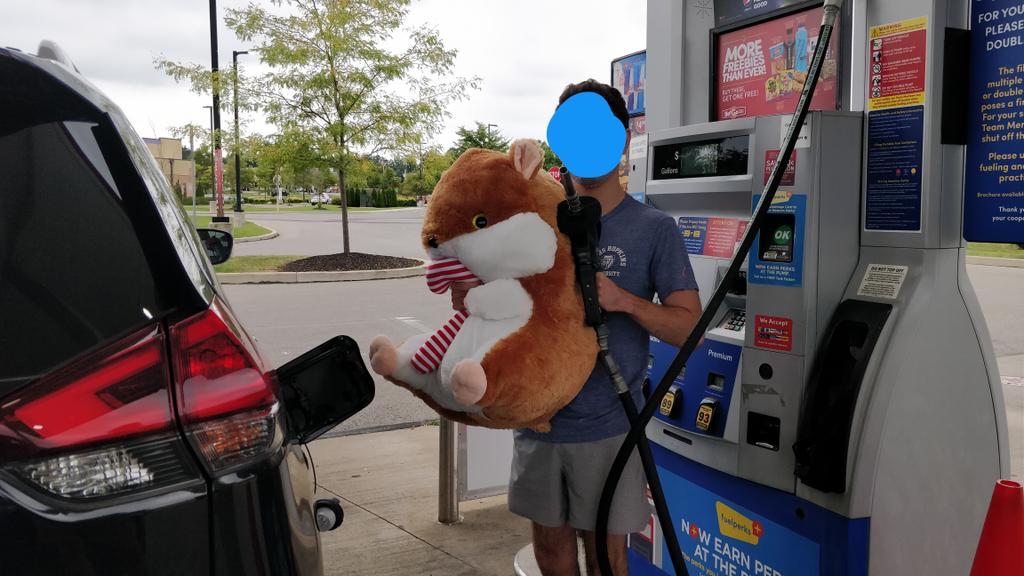 sesame's first time out of  @NJGov! he's learning how to pump his gas all on his ownif you see chris, no you don't