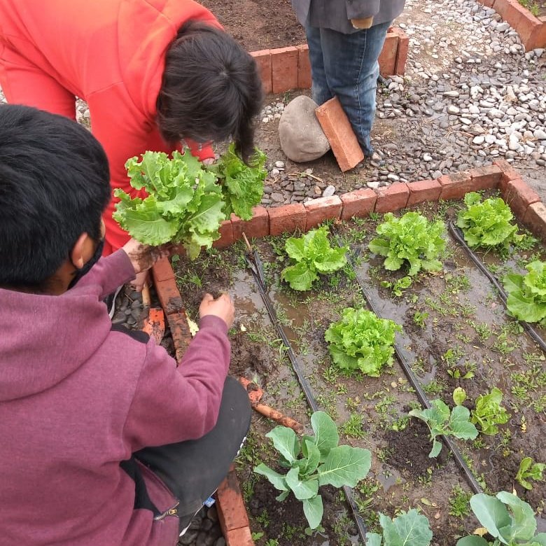 CAMBIÁ TU CHIP ♻️🥕
"Si te amas a tí, te recomiendo que primero ames la naturaleza. Cambiá tu chip" son las palabras de Micaela, participante del #MiniGabinete.
🌱Ella mostró su inquietud y necesidad de proteger el medioambiente.
(+)