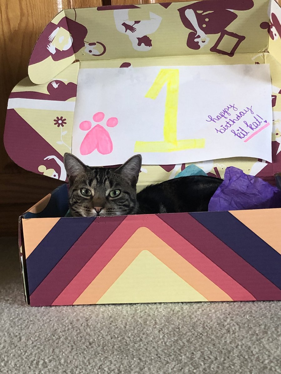 deanna Welsh tweet media