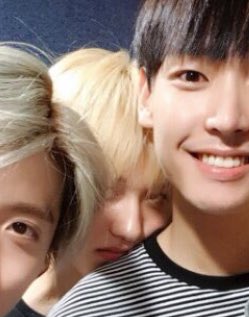 Chani being clingy a very devastating thread;