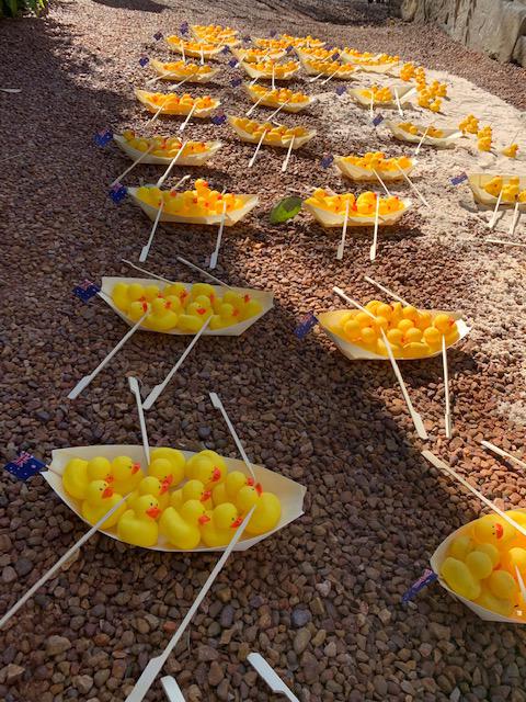 My dad just sent me these pics of his friend's pandemic project: restaging the Gallipoli landings in his driveway using rubber ducks. That is all.