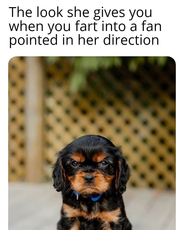 I thought it was funny 🤷