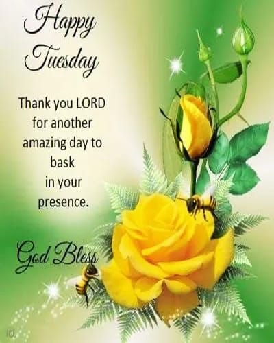 Oleev Pastor (@oleevpastor) on Twitter photo 