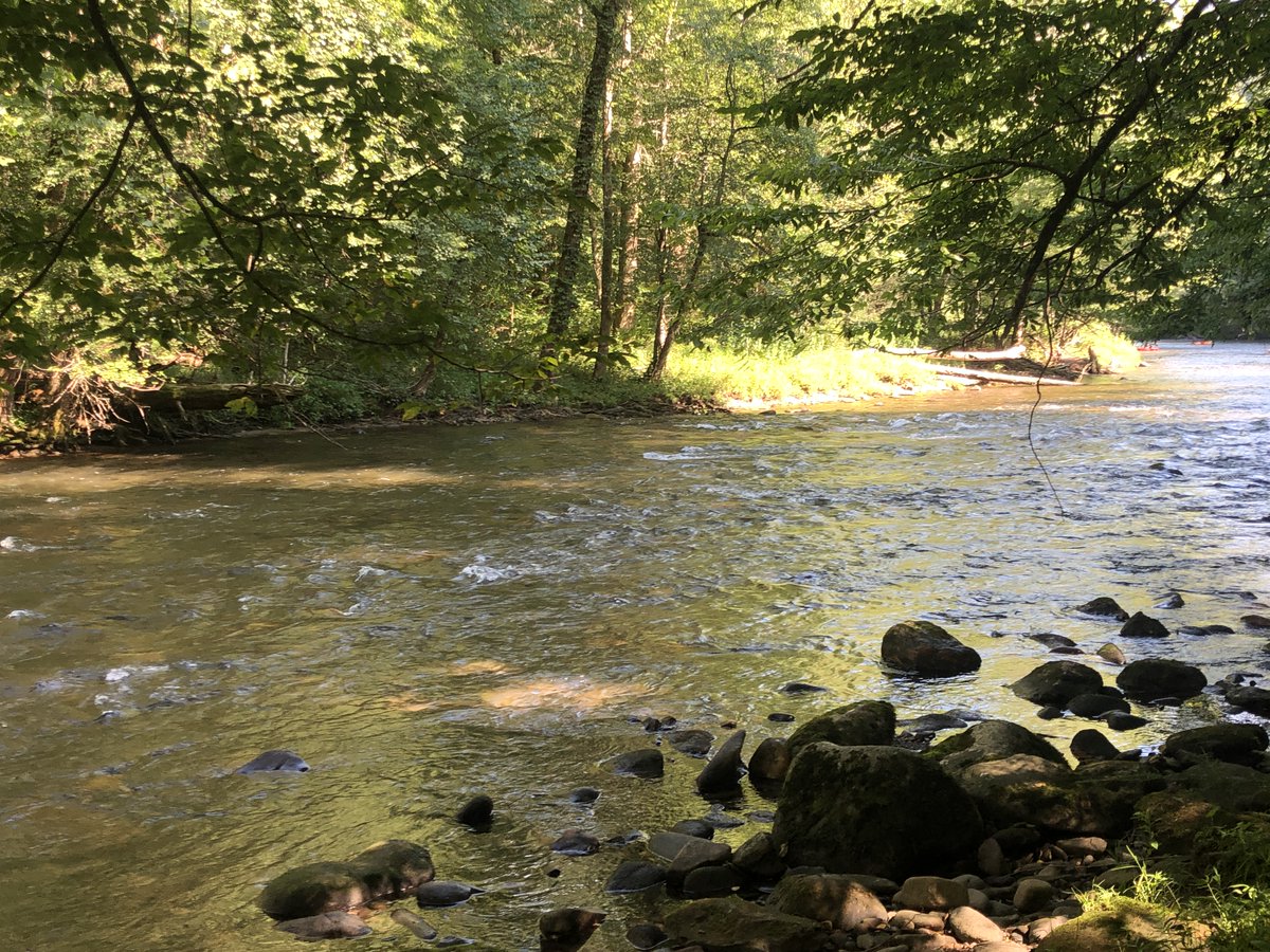 britestack's tweet image. Sometimes you just need a saunter near a river in the @GreatSmokyNPS. (Via @WJHL11) #TrailTeam11 #TrailNotes wjhl.com/community/trai…