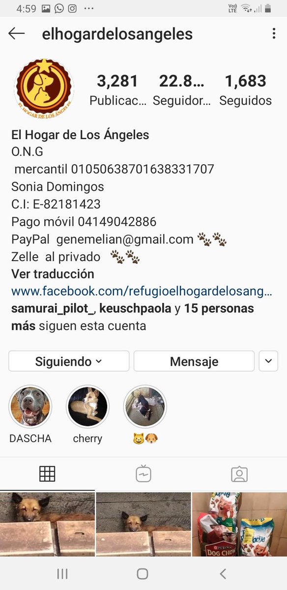 PerroUsuario's tweet image. #BuscaUnHogar RT @cocomaria58: Vía: #Caracas  #Enadopción #CARITA fue #abandonado en la puerta del refugio el 26 de junio. fue dado en adopción el 7 de julio. hoy 30 de Agosto lo devuelven porq come mucho. 
Teléfono: 04149042886