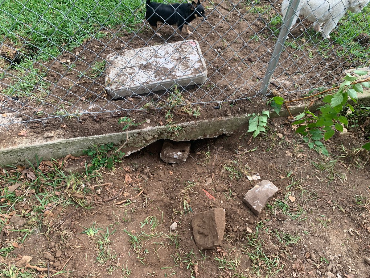 FubFrug's tweet photo. @oncor Is this safe to leave in the rain?  Genuinely asking as your representatives I called don't know.  Note: This is how your people left me today.  Currently a trip hazard, and I do not want my dog sticking her nose in that hole as you can see the cabling! https://t.co/OgDwx9zfhe