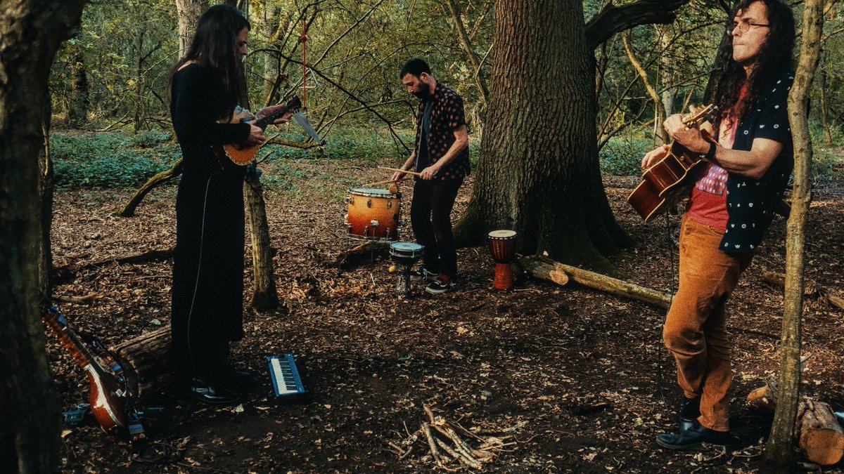 The Elephant Trip (@elephanttrip) on Twitter photo 