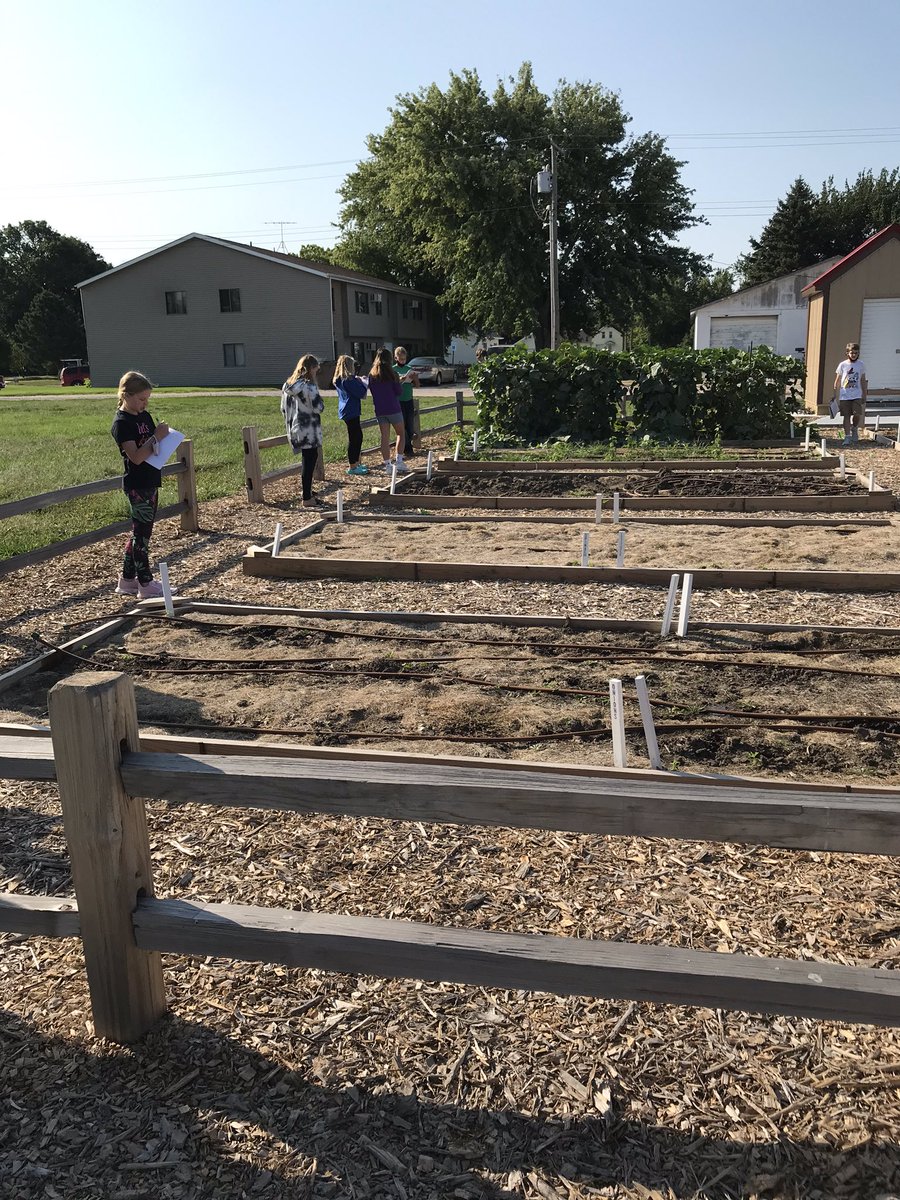 Observing organisms in 6th grade science today. <a href="/thegardenAMS/">The Garden at AMS</a> makes a great outdoor classroom!
