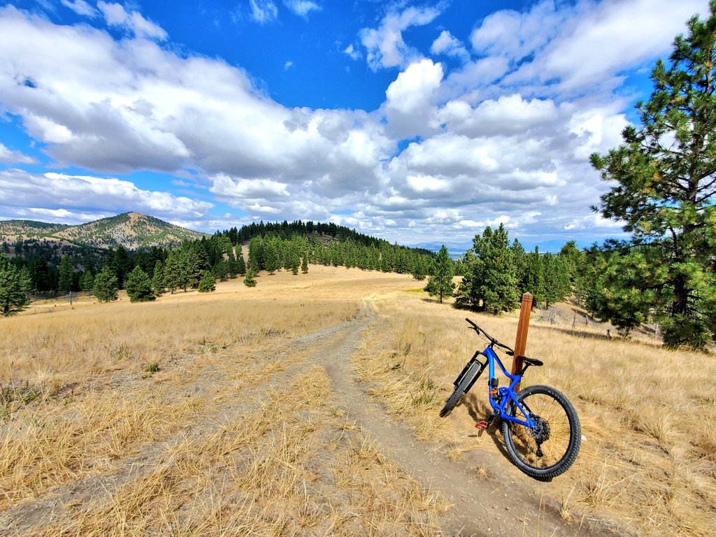 DivaVinophile's tweet photo. Now I know why #Montana is the big sky state! #mountsinbiking #outdoorfun @Abfabtravels @SK1LL4XED @Adventuringgal @GalsWander @WonderLesch @YatesReal @dipyourtoesin @Journeyingdave @YYCbikewinefood @jenandmeltravel @RTWBarefoot @BaSnorkel @LisaRivera2207 @ccatmpt @joneill55 https://t.co/8yASK0xPmp