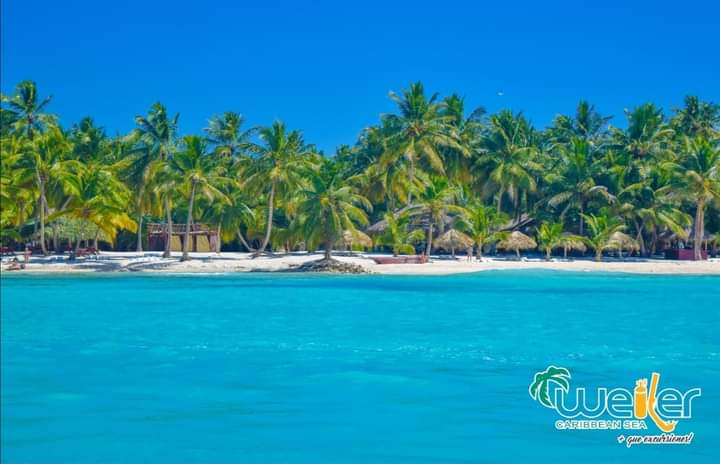 weilercaribbean's tweet photo. ✔️Porque tus vacaciones tienen que ser las mejores, ven y disfruta de esta hermosa isla del caribe 🏝️en compañía de @weilercaribbeansea
#islasaona #weilercaribbeansea #weilerizate #bavaro #puntacana #aeropuertodepuntacana #excursionespuntacana https://t.co/B6OFLBEE8P