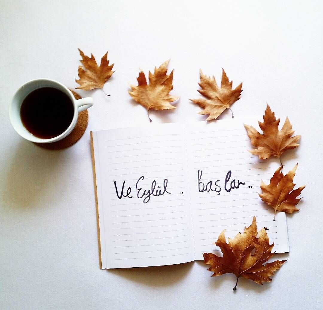 hoş geldin eylül
hiç sevmediğim 
Sonbahar hayırlı gelir 
inşallah şartlanmak istemiyorum 
bana pek iyi gelmez