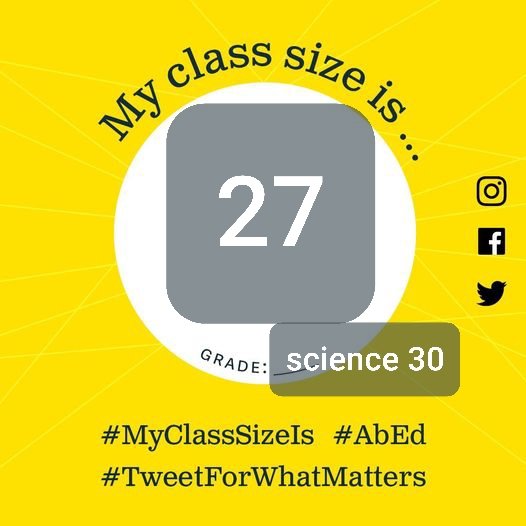 CrazyPinkHippo's tweet image. #MyClassSizeIs #abed #TweetForWhatMatters