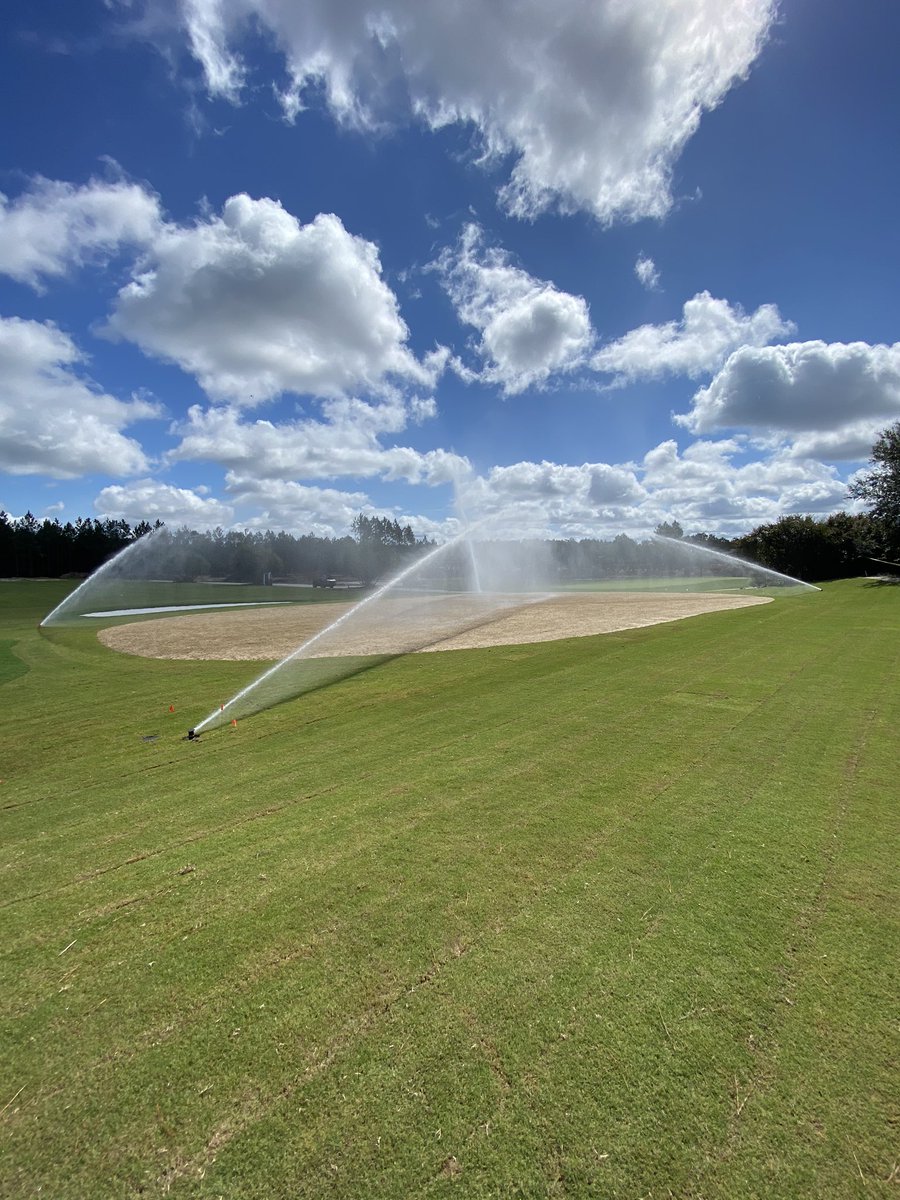 TifEagle sprigs and TifTuff Sod laid