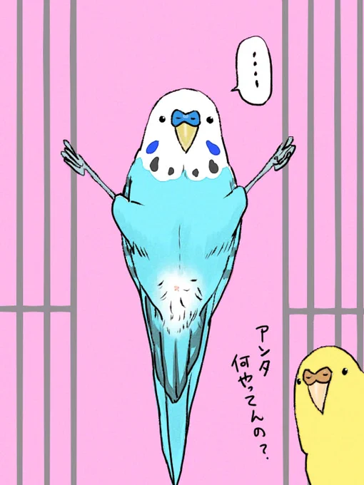 皆さん、おはようございます
台風がとても心配です('・ω・`) 