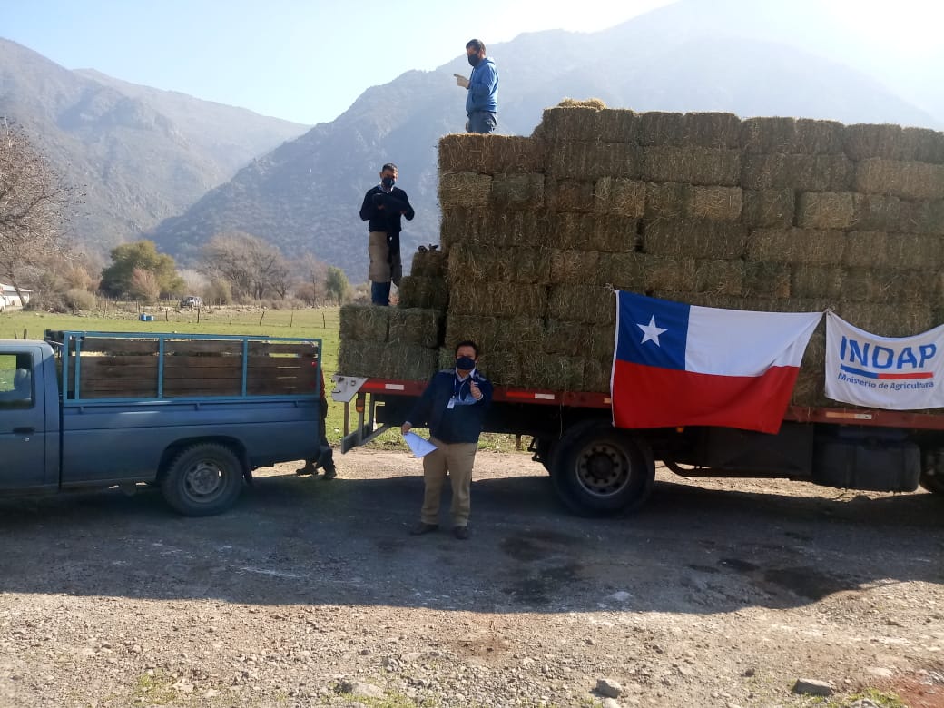 Este lunes 31 de agosto, a las 15 horas, el equipo Regional, encabezado por el Director Regional, Sr. Onofre Sotomayor Diaz, junto a la Jefa de Área INDAP San Bernardo, Srta. Cecilia Ibañez Boric, encabezaron la entrega de forraje para usuarios de INDAP en San Jose de Maipo.