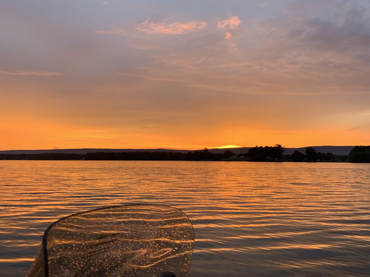 Steve Underwood tweet media