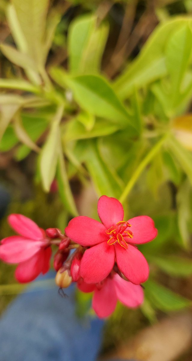 hasharanza's tweet image. 