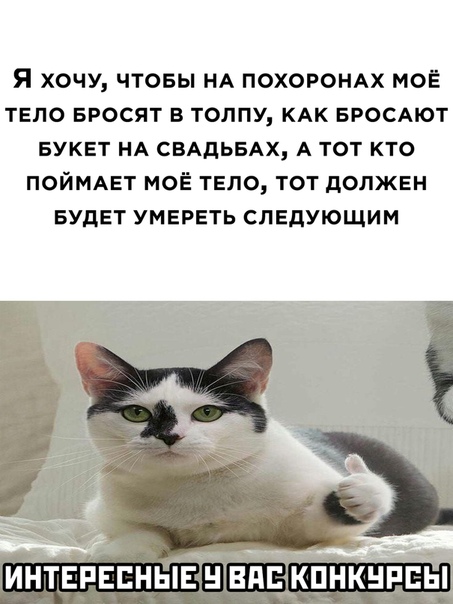 undomial08's tweet image. 