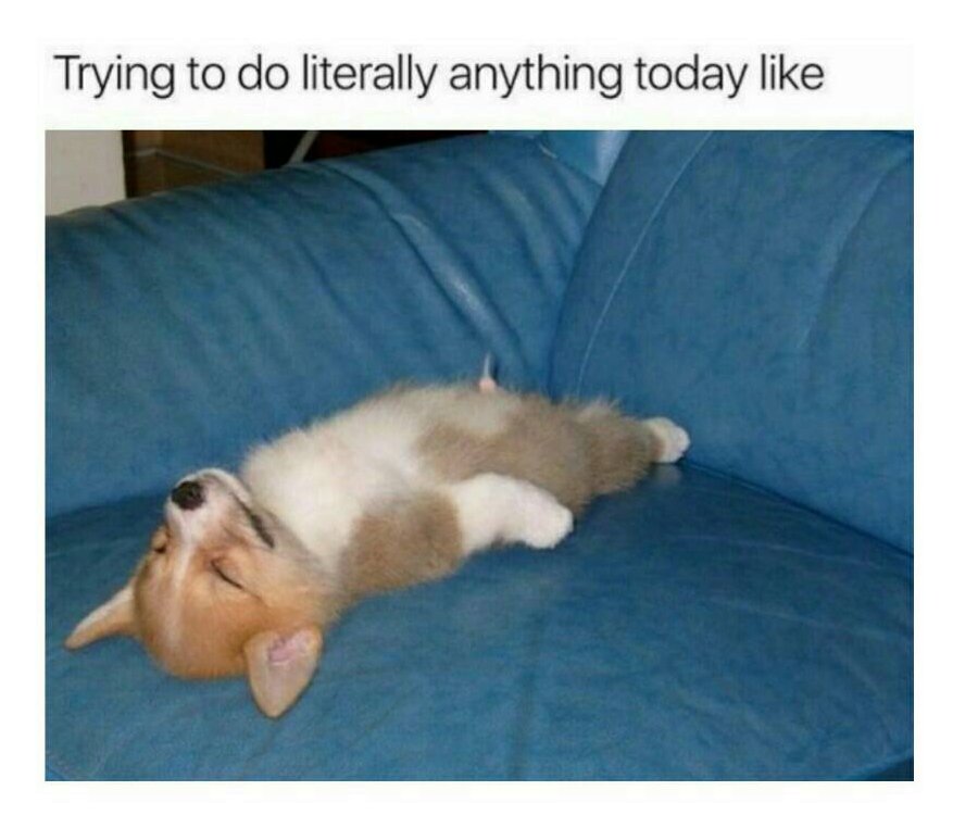 HOONY_INA's tweet photo. mood all day everyday :
#KokohHoony #HOONY_INA #Hoony #ํ์ด #์ด์นํ #์๋ @yginnercircle @official_hoony_ https://t.co/oN8JznBv8Y