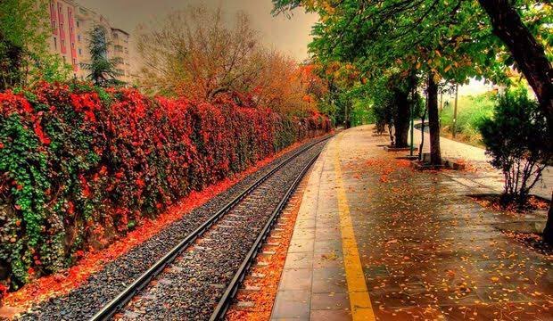 “Sonbahar sanattır.
Diğerleri mevsim...”

#Hoşgeldin sonbahar, 
Hoşgeldin #Eylül...