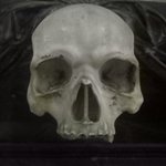 Photo by TheGothLord (@TheRealGothLord)
