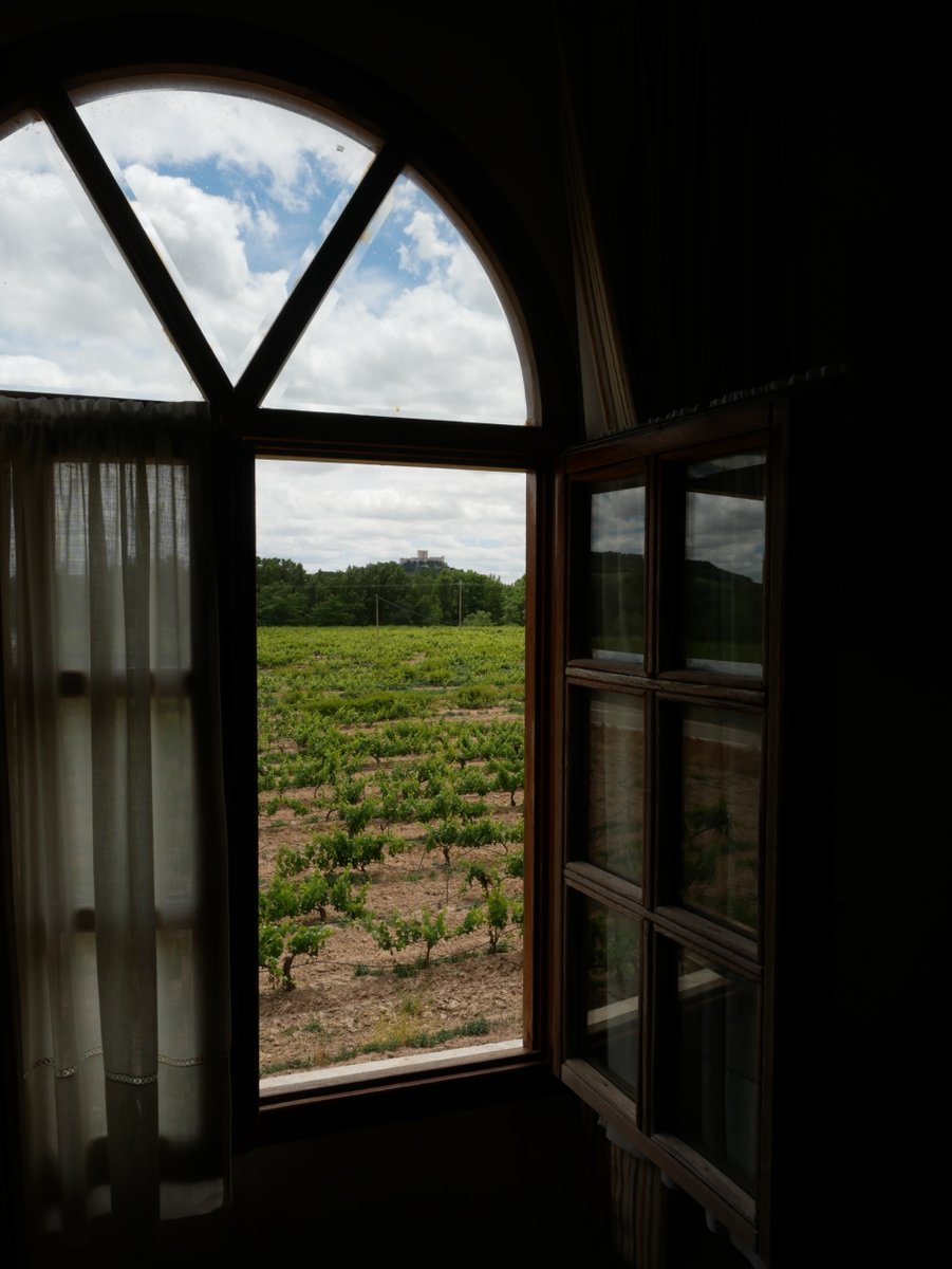¡Buenos días!

Las vistas lo pueden cambiar todo a la hora de empezar el día 😉

¿Naturaleza, viñas, #RiberadelDuero? No hay mejor inicio para este #felizmartes 🍇😊
