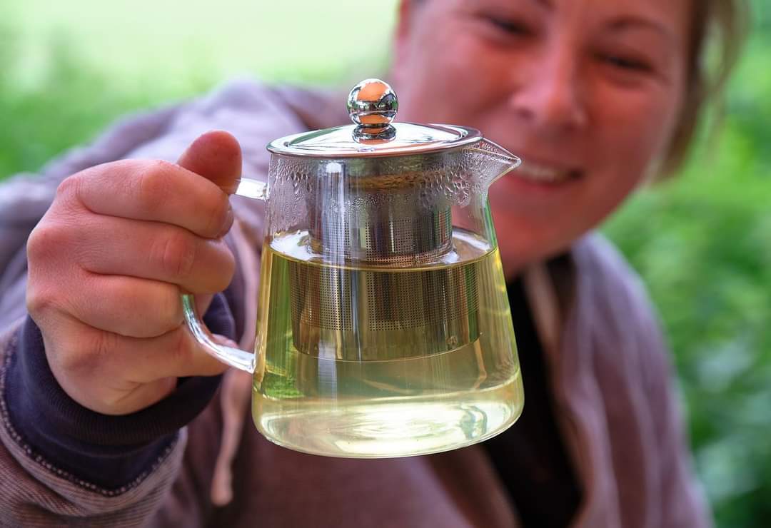 Just a few spaces left for a Forager's Afternoon Tea on Sunday 6th September. Come and join us at beautiful Oak Tree Farm Woodborough Nottingham amongst the alpacas. 

Email thenottinghamforager@gmail.com or find us on Facebook to book. 

facebook.com/events/s/a-for…