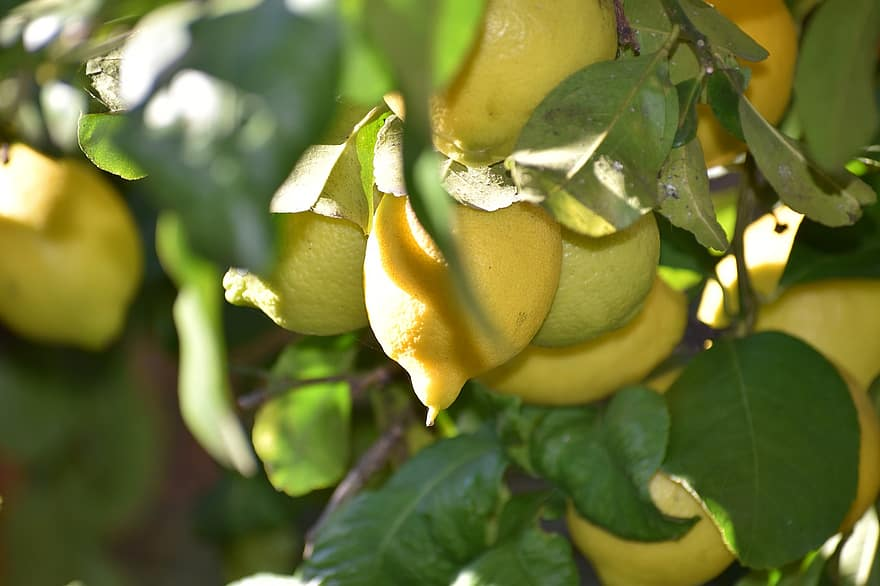 Biblioteca EASP tweet media