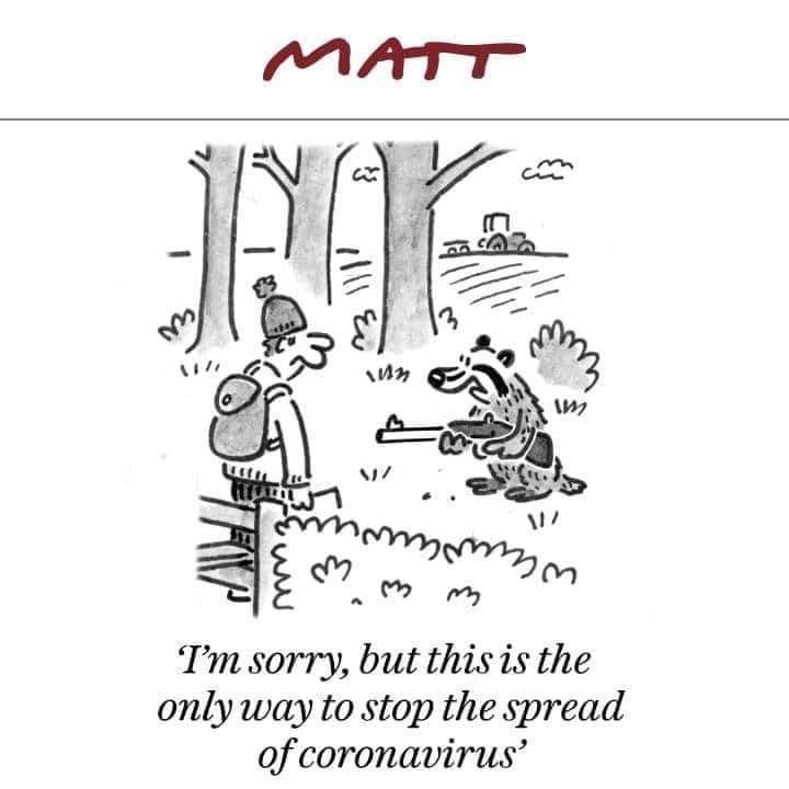domdyer70's tweet photo. The insanity of the badger cull summed up perfectly #badgercull https://t.co/YcBPdSfCEs
