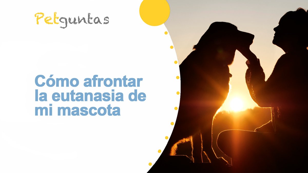 Interesante video de Cómo afrontar la eutanasia de mi mascota canigat.com/PETNEWS/?post=…
