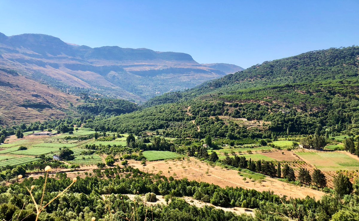 savebisri's tweet photo. في #مئوية_لبنان_الكبير، ما زال مرج بسري صامداً في وجه أطماع زعماء الطوائف. هو باقٍ وهم راحلون💚 https://t.co/8SP5RNIMjv
