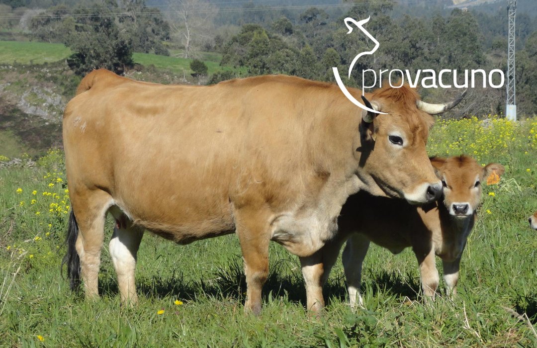 La vida no trata de encontrarse a uno mismo, sino de crearse a uno mismo #FelizMartes