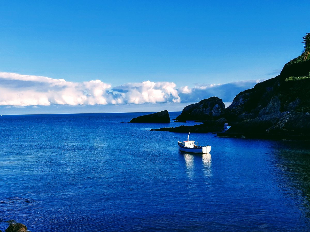 “It is not that life ashore is distasteful to me. But life at sea is better.”
― Sir Francis Drake 

#combemartin #northdevon #visitdevon #intotheblue